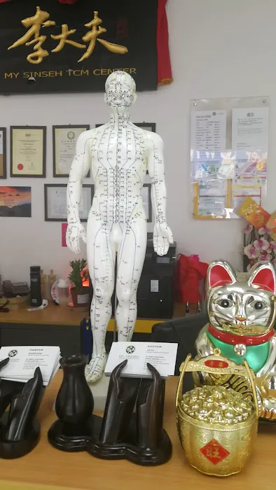 My Sinseh Traditional Chinese Medicine 李大夫 Picture 1