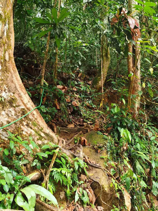 TRAIL HEAD GUNUNG LIANG Picture 1