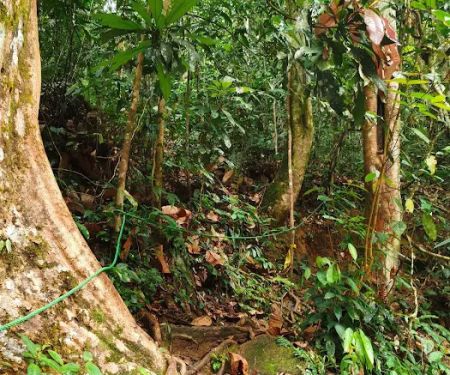 TRAIL HEAD GUNUNG LIANG
