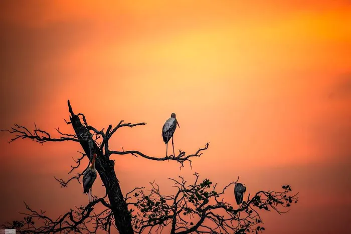 Sunset View Sg.Janggut Picture 1