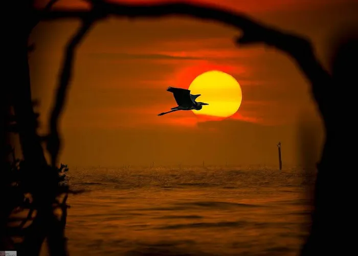 Sunset View Sg.Janggut Picture 4