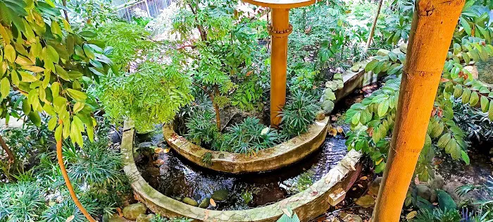 Rainforest @ 1 Utama Picture 10