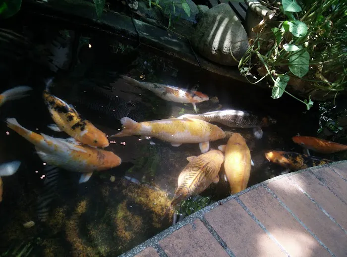 Rainforest @ 1 Utama Picture 7
