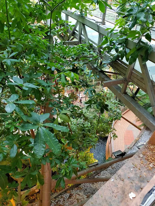 Rainforest @ 1 Utama Picture 6