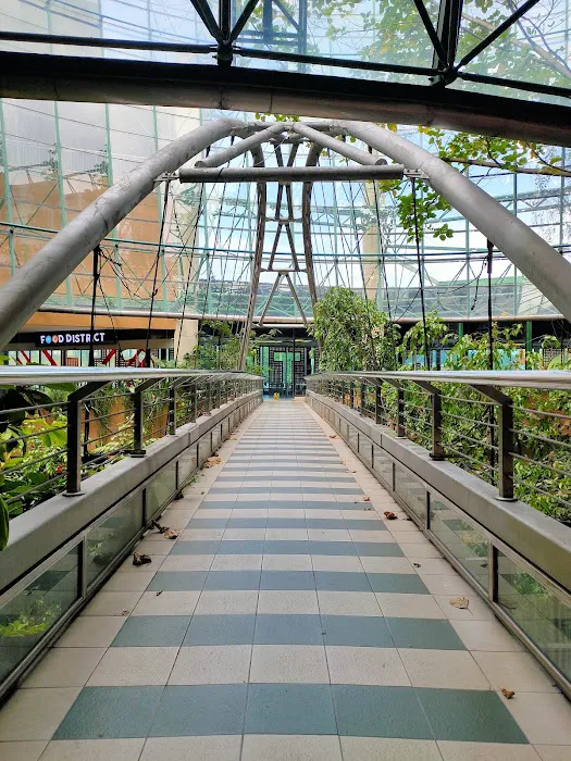 Rainforest @ 1 Utama Picture 3