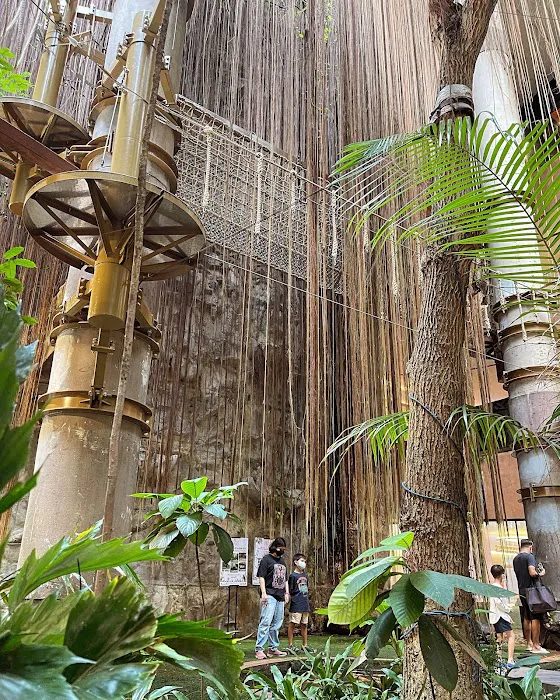Rainforest @ 1 Utama Picture 9