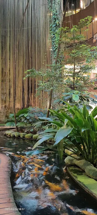 Rainforest @ 1 Utama Picture 4