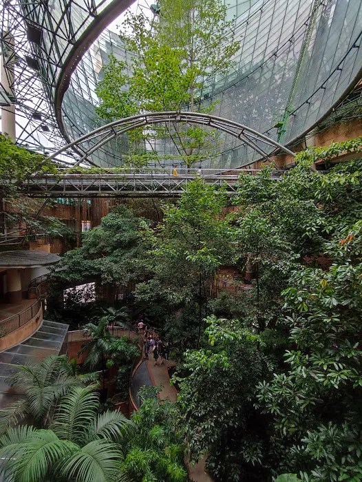 Rainforest @ 1 Utama Picture 5