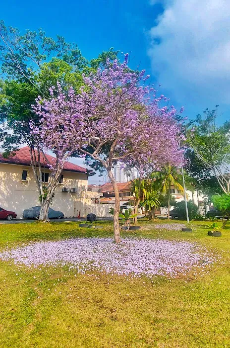 Bandar Utama BU3 Park Picture 6