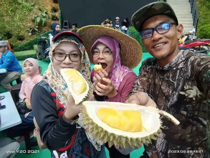 LKE Tazz Durian Farm Tours Picture 1