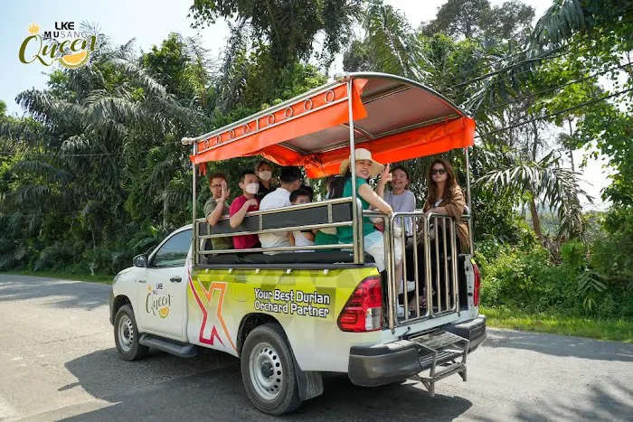 LKE Tazz Durian Farm Tours Picture 2