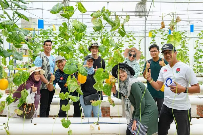 LKE Tazz Durian Farm Tours Picture 3