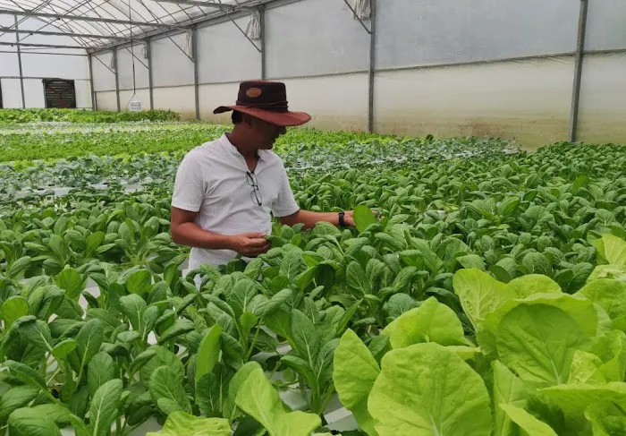 LKE Tazz Durian Farm Tours Picture 10