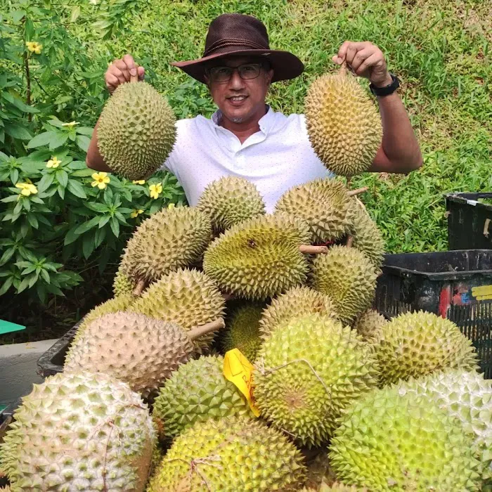 LKE Tazz Durian Farm Tours Picture 9