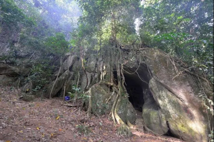 Pasoh Heritage Picture 1
