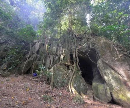 Pasoh Heritage