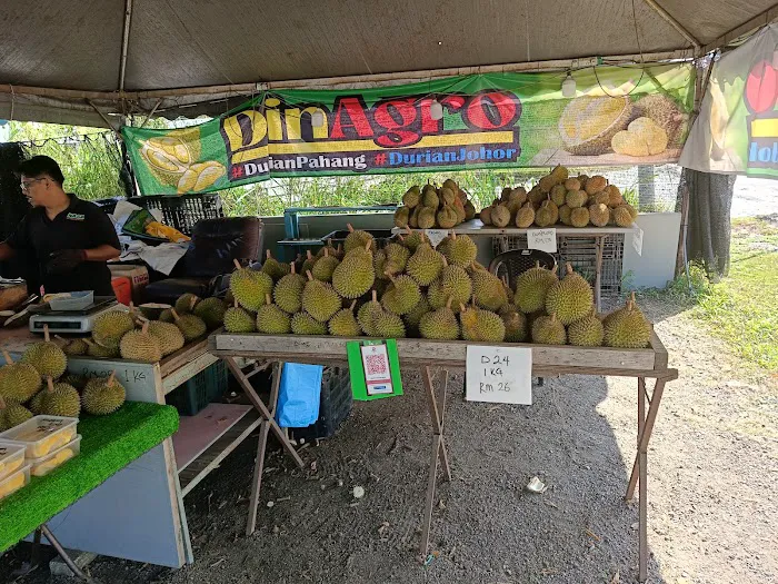 Kraftangan Malaysia Pahang Picture 3