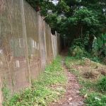 Jalan Tikus Bukit Kiara