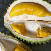 My Derian Malaysia ico
