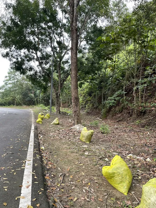 Bukit Anggerik 3 Picture 6