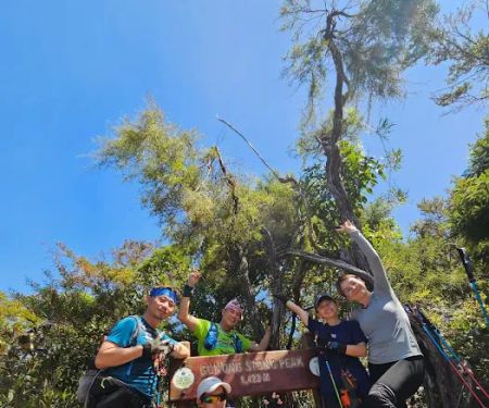 Stong Summit