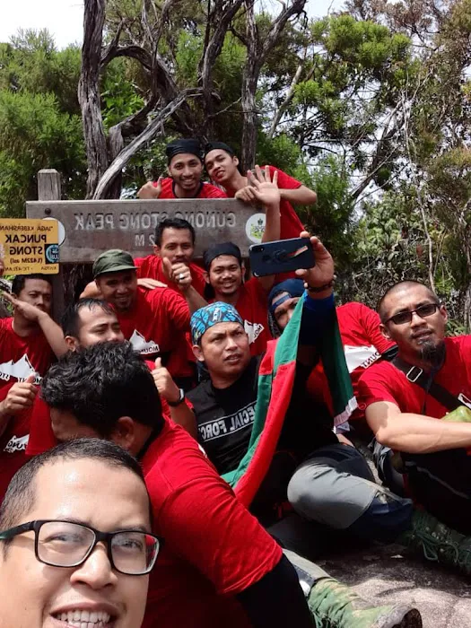Stong Summit Picture 2
