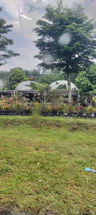 Laman baginda resource Idealink Picture 3