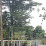 Laman baginda resource Idealink