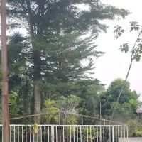Laman baginda resource Idealink ico