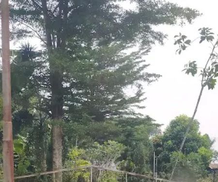 Laman baginda resource Idealink