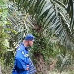 Port pancing Malik blok 8