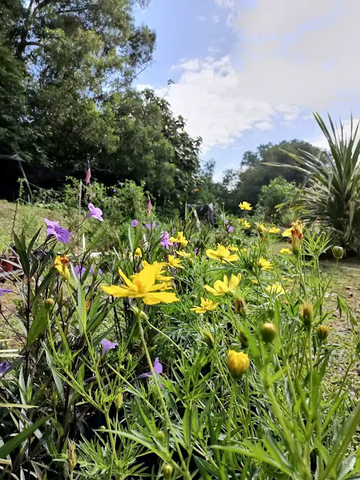 Kebun Kita Picture 5