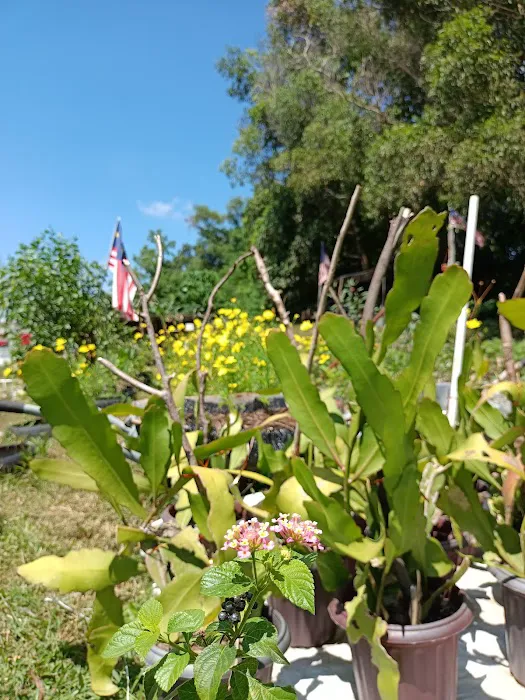 Kebun Kita Picture 10
