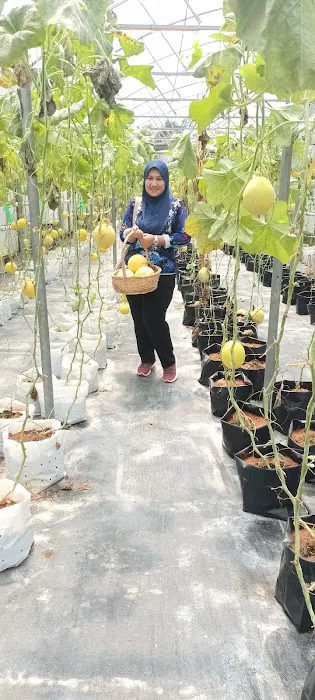 All about Urban Farming 4 Putrajaya Picture 4