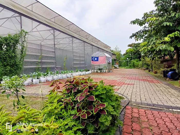 All about Urban Farming 4 Putrajaya Picture 8