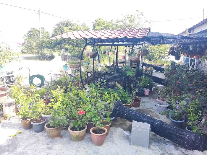 Shohalli's Florist Nursery Picture 7