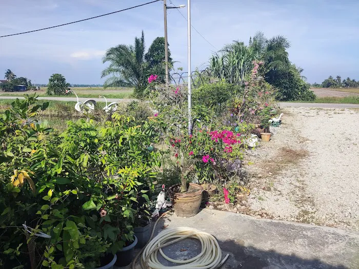 Shohalli's Florist Nursery Picture 4