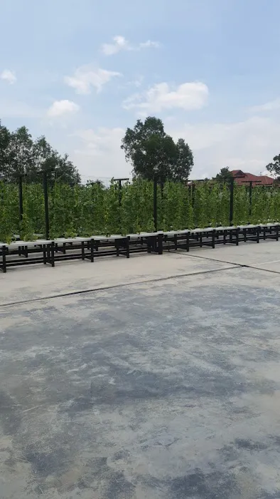 BSB Agro Hydroponic Picture 1