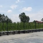 BSB Agro Hydroponic