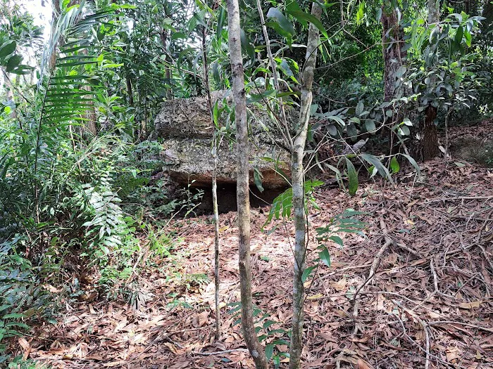 Puncak Bukit Rangin Picture 4