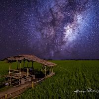 Pondok port bergambar OOTD ico