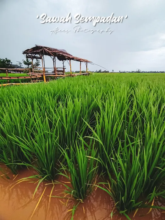 Pondok port bergambar OOTD Picture 3