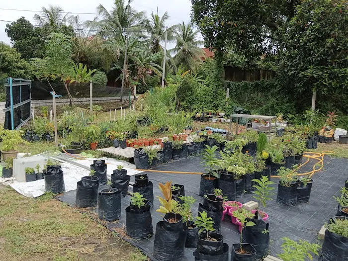 Kenangaflowerfarm Picture 1
