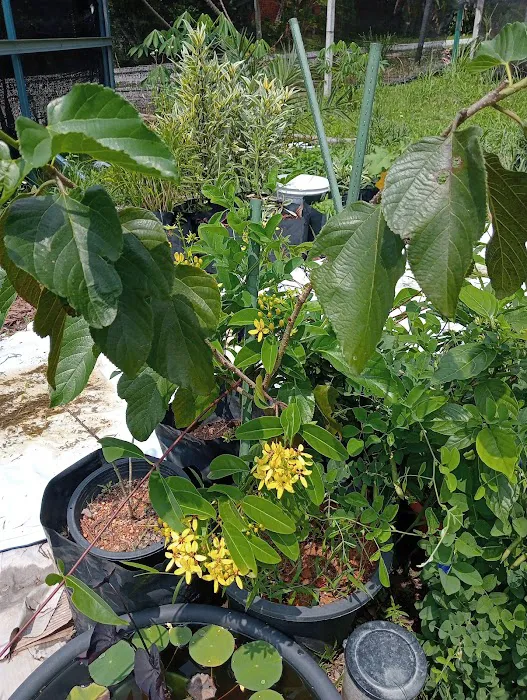 Kenangaflowerfarm Picture 3