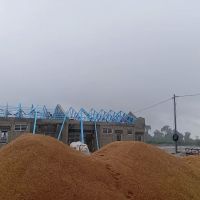parit jawa ico