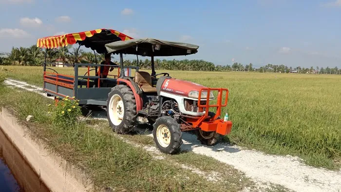 TRAIN d' SAWAH Picture 6