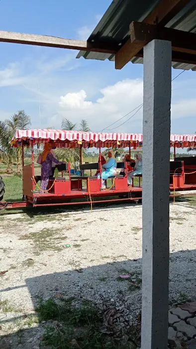 TRAIN d' SAWAH Picture 5