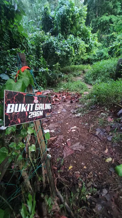 Starting Trail Bukit Galing Picture 3