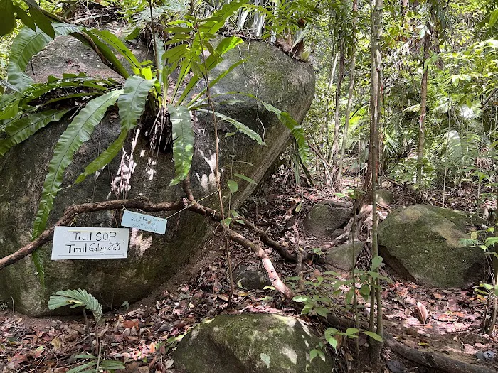 Starting Trail Bukit Galing Picture 7