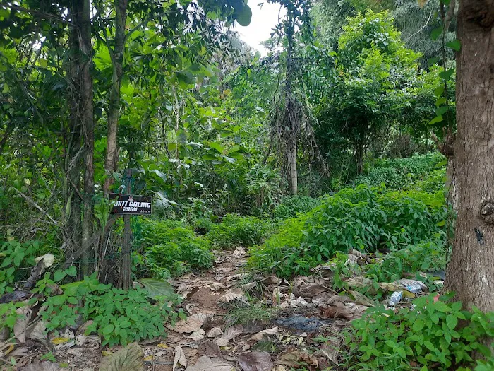 Starting Trail Bukit Galing Picture 6